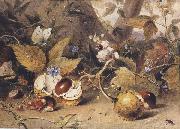 Elizabeth Byrne Still-life with horse chestnuts and insects (mk47) china oil painting artist